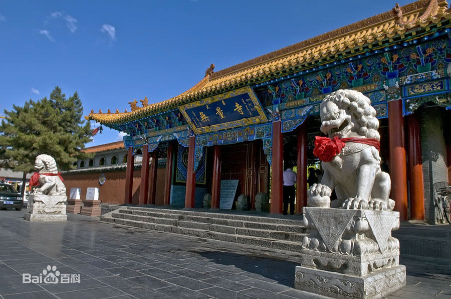 ��ɽ�����ͺ��ػ���ר��