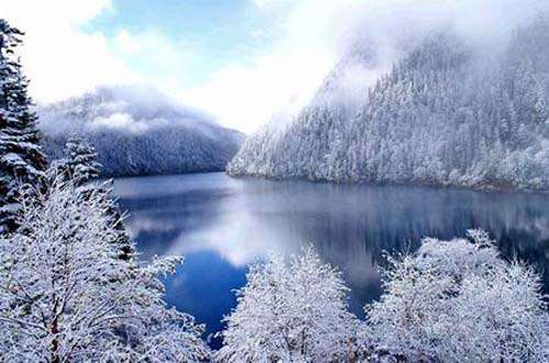 佛山到阿坝货运专线