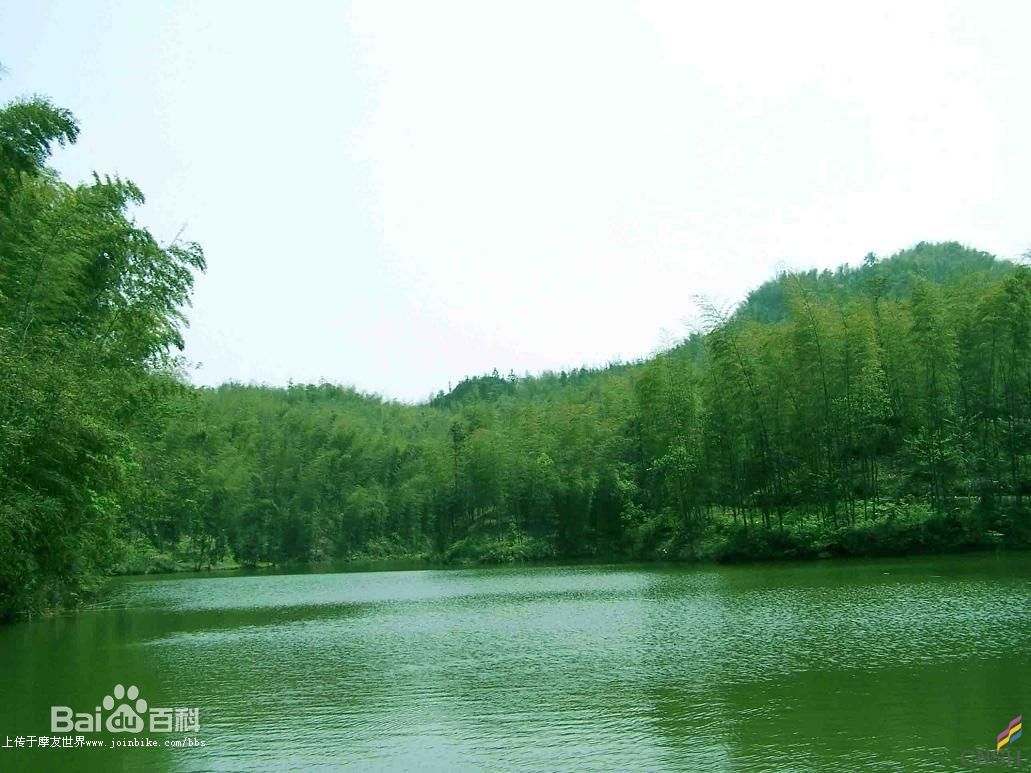 佛山到自贡货运专线