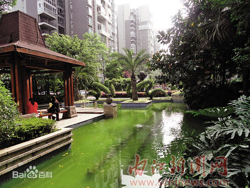 ��ɽ���ڽ�����ר��