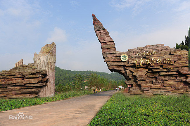 ��ɽ����������ר��