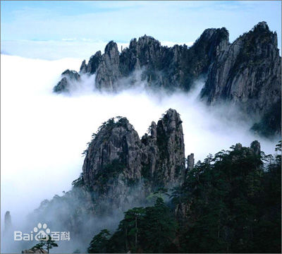 佛山到广安货运专线