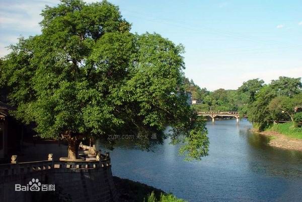 佛山到南充货运专线