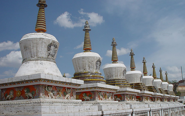 ��ɽ���ɶ�����ר��