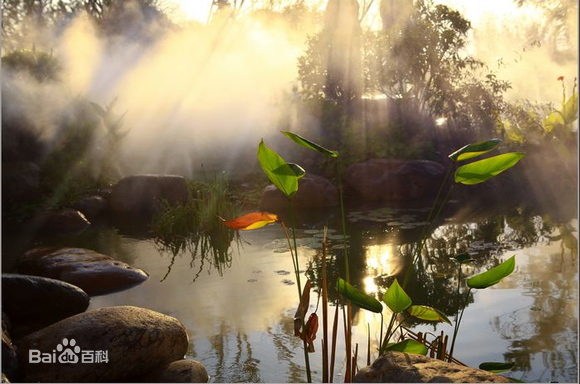 ��ɽ���Ͻڻ���ר��