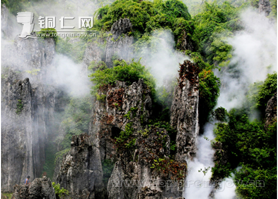 ��ɽ��ͭ�ʻ���ר��