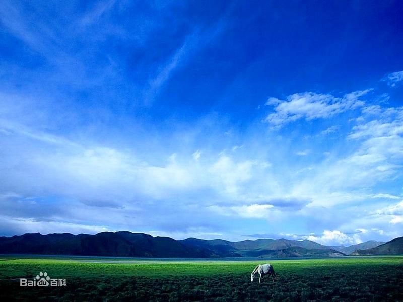 佛山到日喀则货运专线