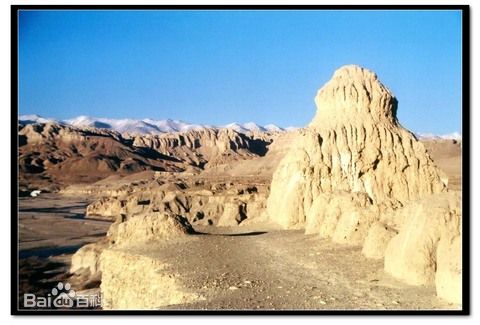 佛山到阿里货运专线