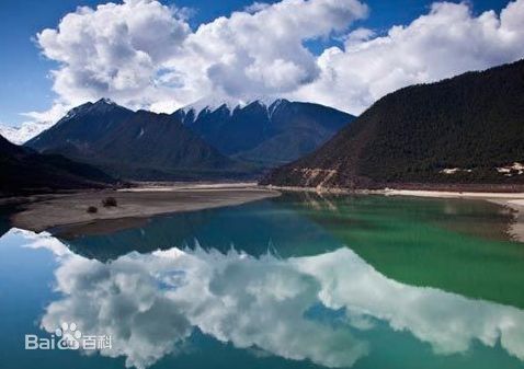 ��ɽ����֥����ר��