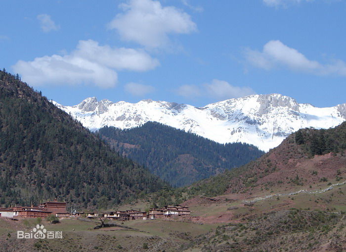 ��ɽ����������ר��