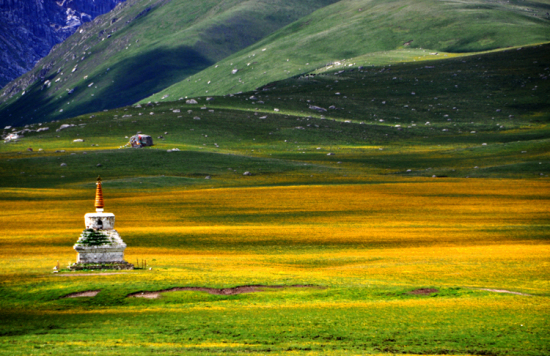 佛山到甘南货运专线