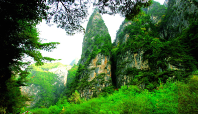 佛山到定西货运专线