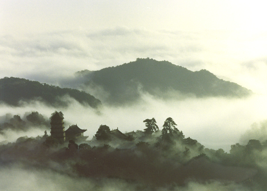 ��ɽ��ƽ������ר��