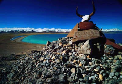 佛山到西宁货运专线