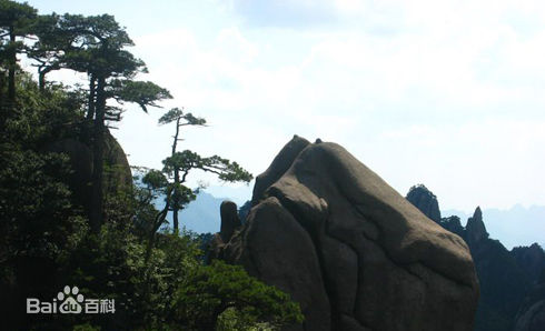 ��ɽ�����Ļ���ר��