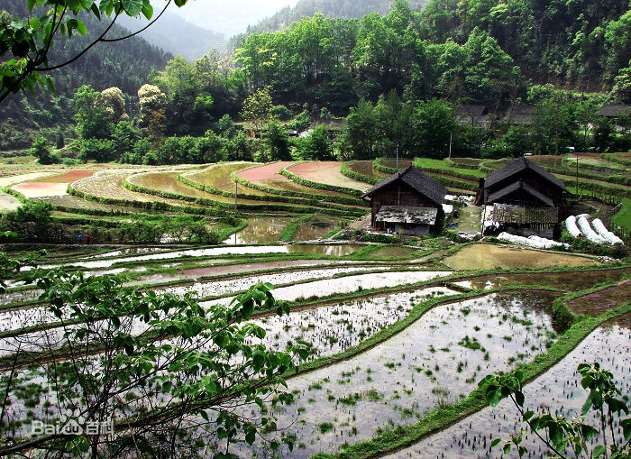 佛山到吉首货运专线