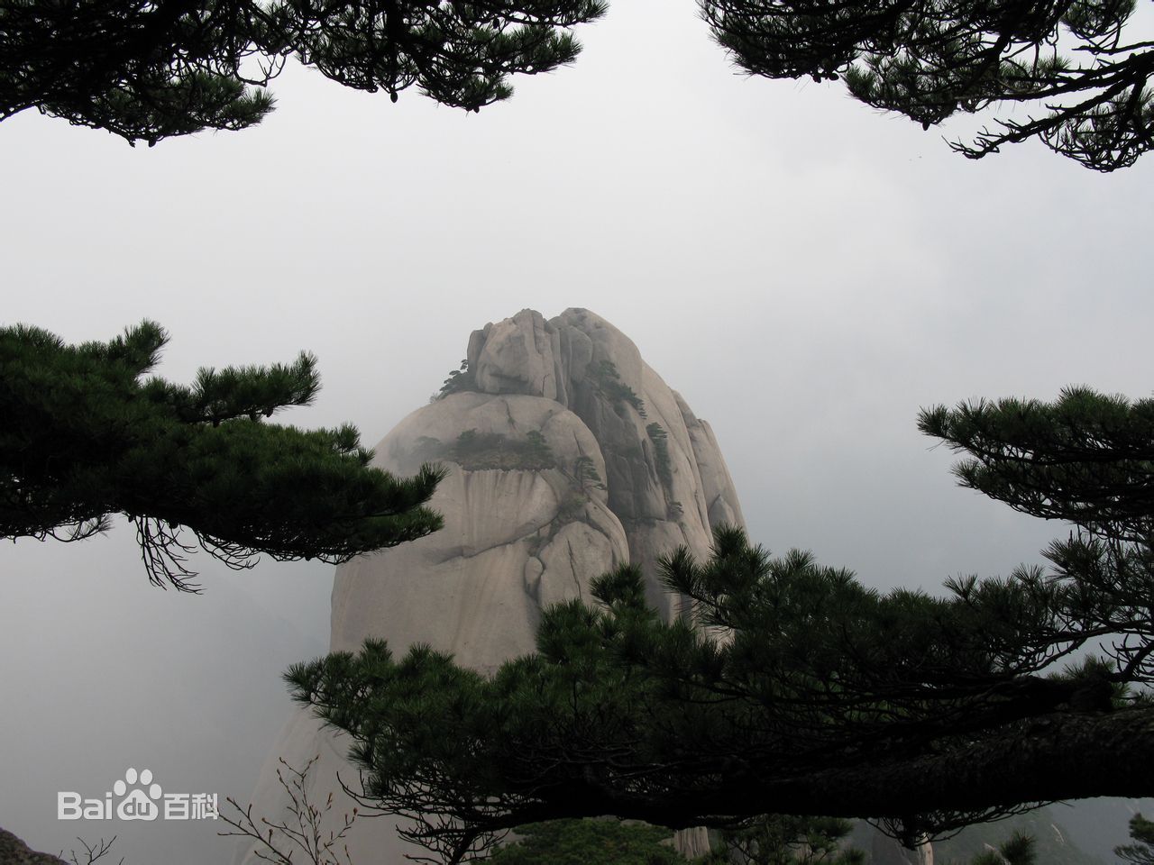 佛山到黄山货运专线