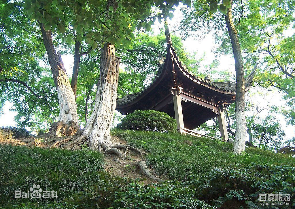 佛山到江阴货运专线