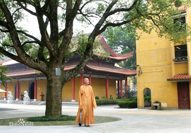 佛山到镇江货运专线