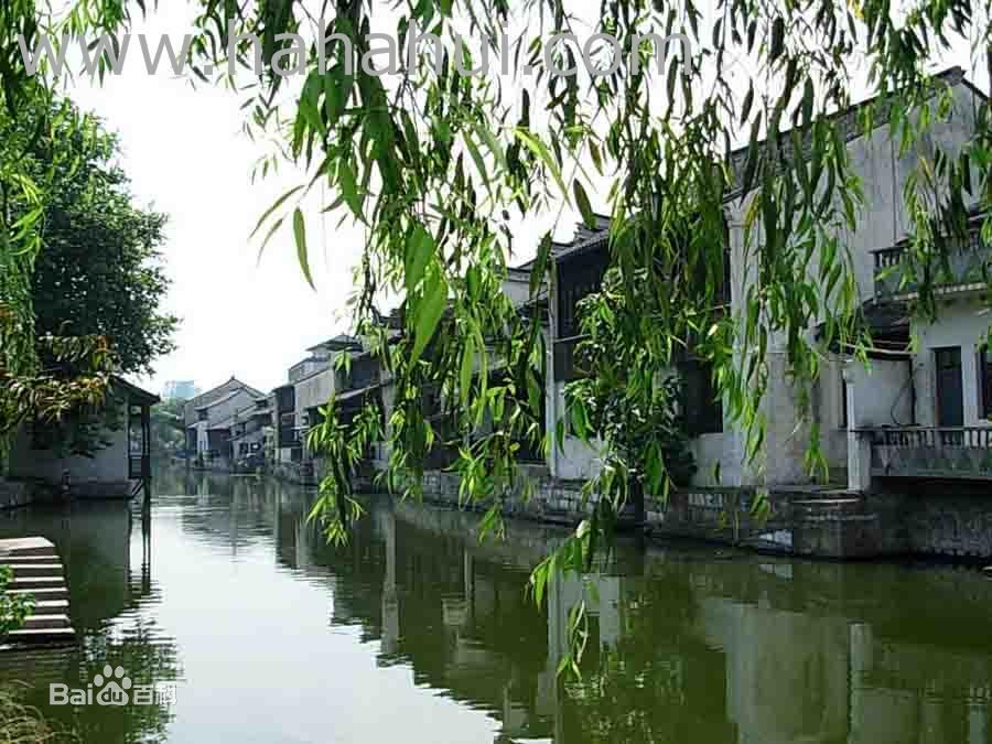 ��ɽ�����ݻ���ר��