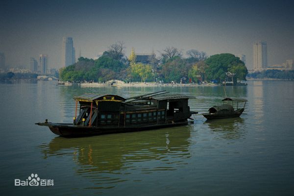 ��ɽ�����˻���ר��