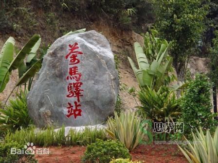 佛山到思茅货运专线