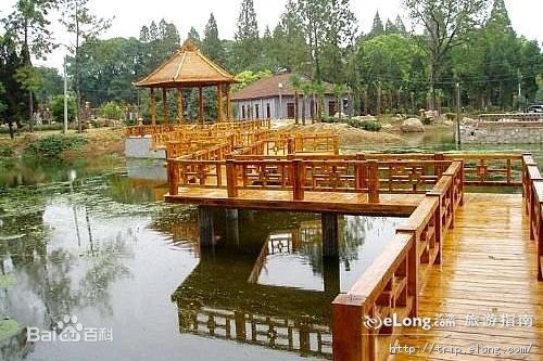 佛山到巢湖物流专线