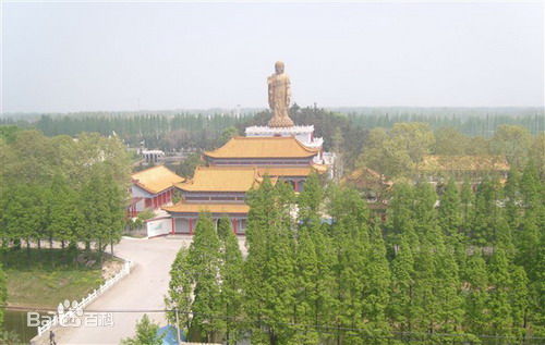 佛山到阜阳货运专线